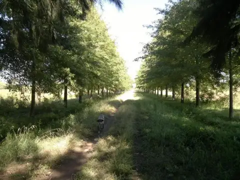 Juan Jose Castro - Salida Km 53 Acceso Oeste