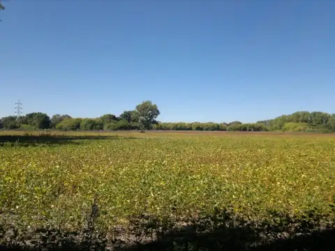 Terreno en Venta en General Rodriguez, USD 3.425.000