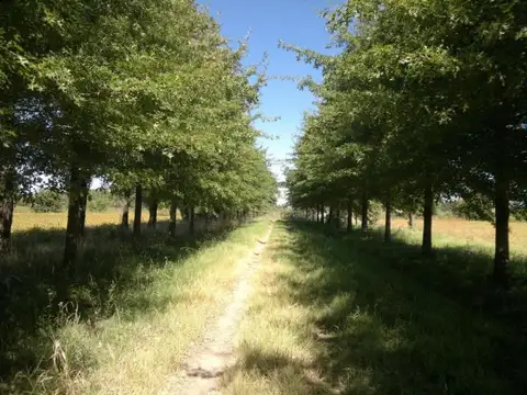 Terreno en Venta en General Rodriguez, USD 3.425.000