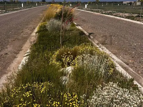 Terreno en Venta de 1000,0 m2