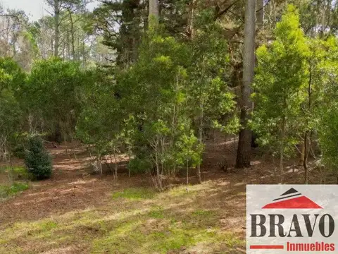 Terreno en Venta en Carilo, USD 110.000