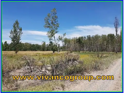 TERRENOS/FRACCIONES/LOTEOS - TERRENOS - PLOTTIER