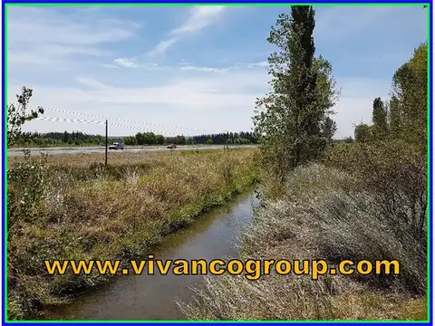 Terreno en Venta en Plottier, USD 375.000