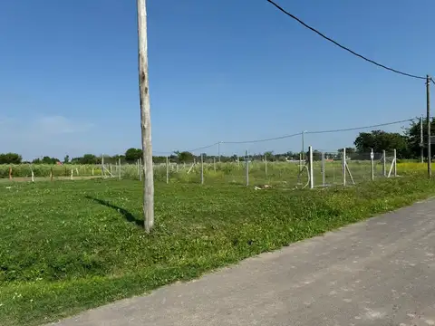 Terreno en Venta de 300,0 m2