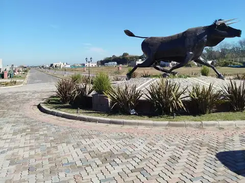 Venta Lote Terreno Barrio Cerrado San Fermin