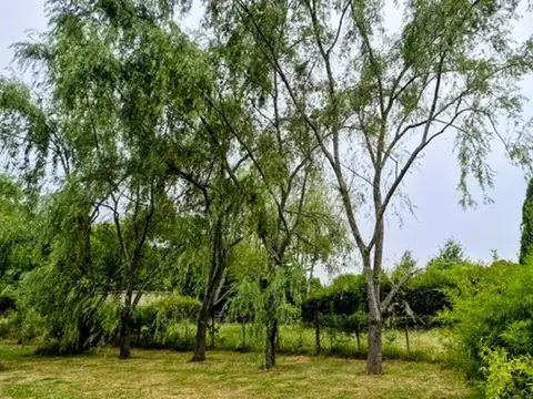 Duggan lote de 500 m2 - a metros del campo - u$s 35.000.- 