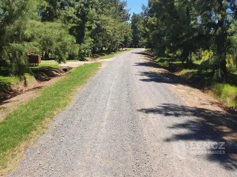 ruta 215 km 49