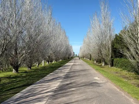 Terreno en Venta de 800,0 m2