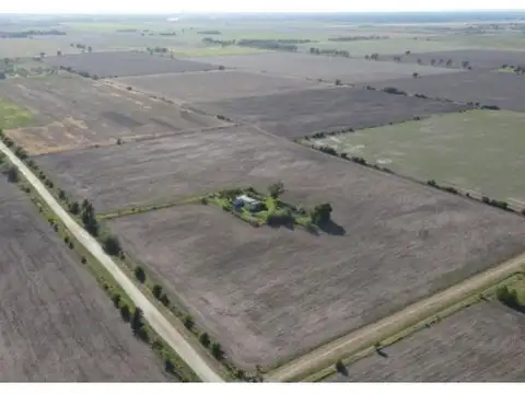 Campo en Venta en Ibarlucea, Rosario