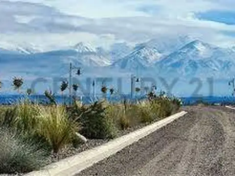 Ruta Provincial 88
