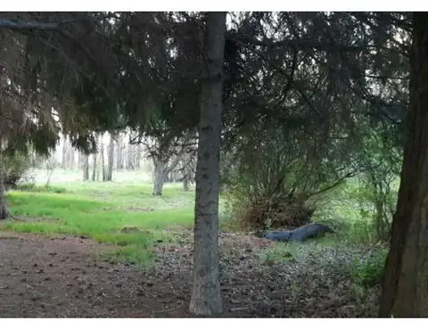 Casa en Venta 1 año