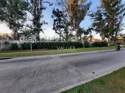 Galpon Ruta 9 Frente a Club Newman 100