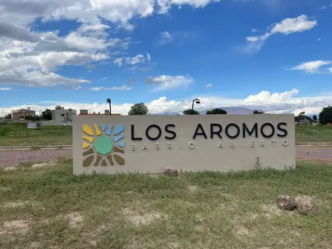 Cafayate. Los Aromos 100