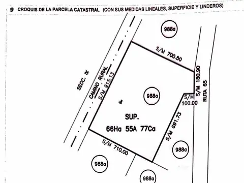 Ruta 65