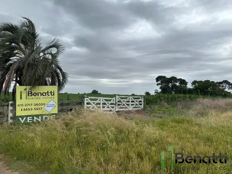 Campo en Venta Agrícola