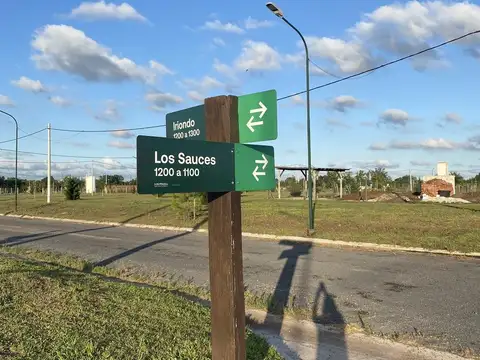 Pirincha y los alamos