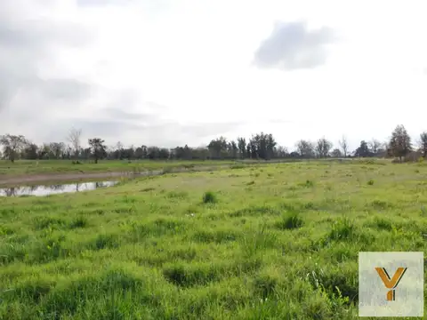 Terreno en Venta de 885,0 m2