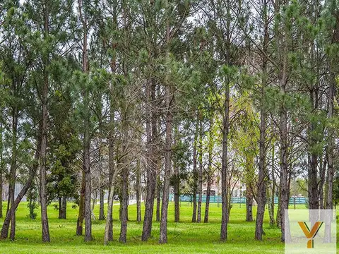 Greenville Polo y  Resort