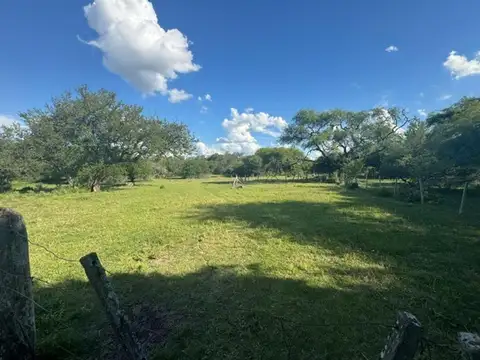 Campo 110 hectareas Mixto Sauce Corrientes