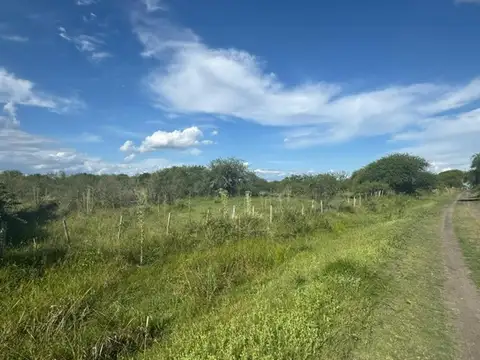 Campo 140 hectareas Mixto Sauce Corrientes