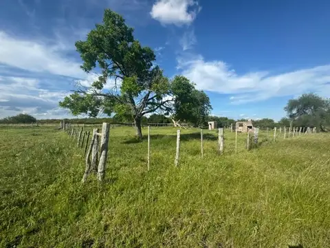 Campo 121 hectareas Mixto Sauce Corrientes