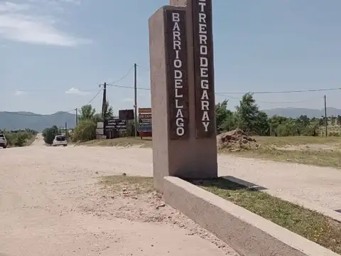 Los Tulipanes 100