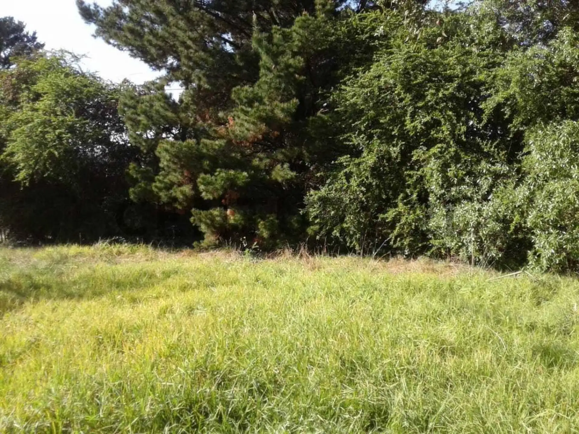 Vendo Lote en Sierra de los Padres.