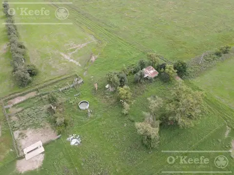 CAMPO MIXTO DE 90 HAS CON MUY BUEN ACCESO A 1.30 HS DE CABA - RANCHOS