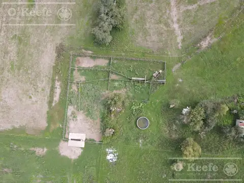 CAMPO MIXTO DE 90 HAS CON MUY BUEN ACCESO A 1.30 HS DE CABA - RANCHOS