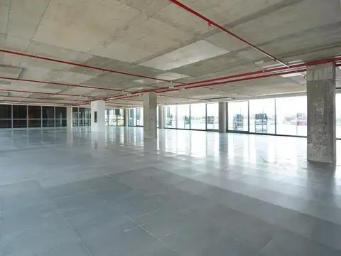 Oficina en Alquiler con 3 cocheras