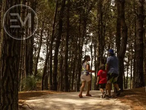 Lote 443 Edificio sendero 4