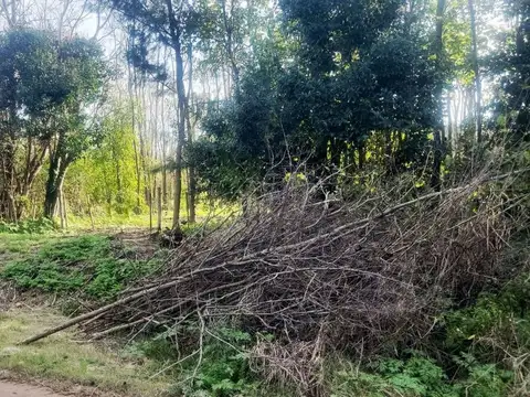 Terreno en Venta en Mercedes, USD 50.000