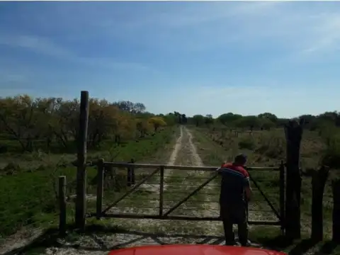 Colonia Espín - Vera