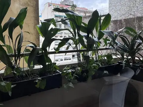 Departamento en Alquiler en Recoleta, USD 800