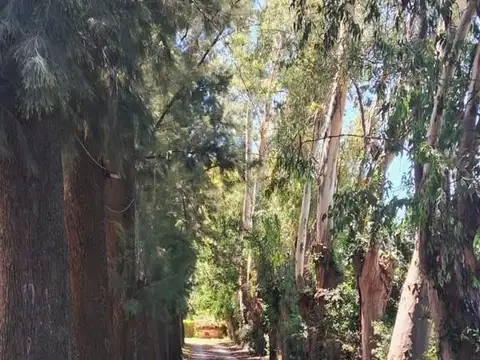 Lote en venta – Barrio Los Tres Coniles, Pilar,  GBA Norte