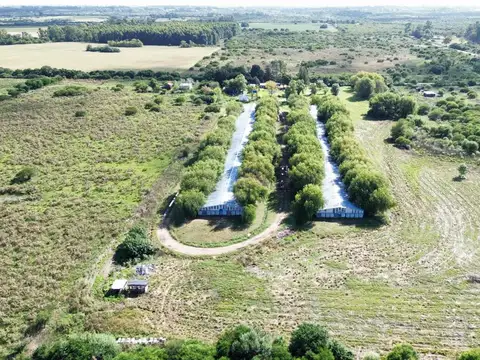 Vendo Granja Avicola en Concepción Del Uruguay, Entre Ríos.