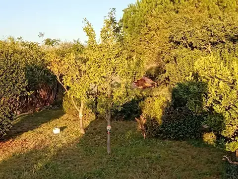 Casa Quinta sobre Lote de 3.250 m² en San Agustín, Balcarce