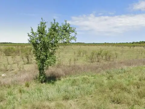 Terreno en Venta de 75940,0 m2
