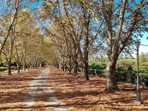 Terreno en Venta de 2172,0 m2