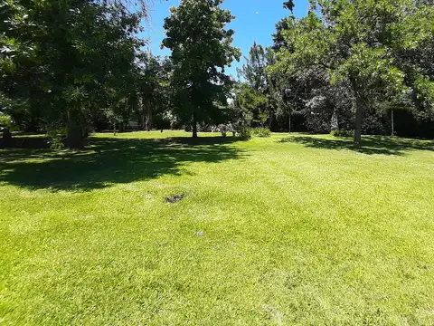 Rio Hondo al 500 Club de Campo San Francisco Manzanares Pilar