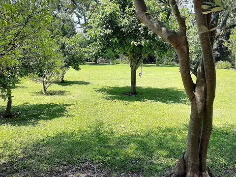 Terreno en Venta 54  mts Fondo