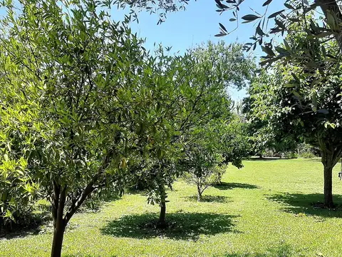 Terreno en Venta 25  mts Frente