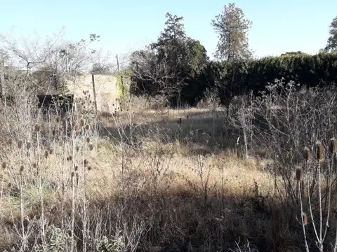 Dos lotes contiguos sobre av. 44 casi esquina 170, L. Olmos