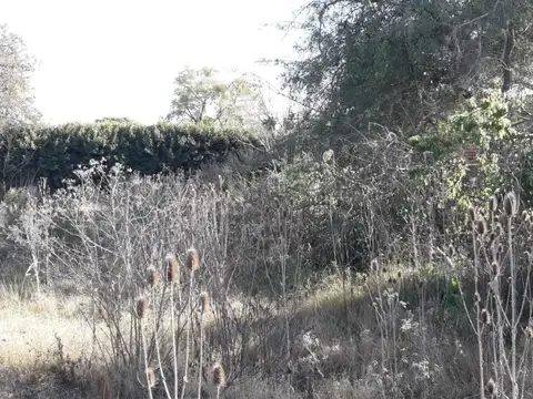 Terreno en Venta, FOT 8