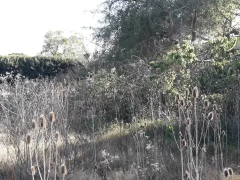 Terreno en Venta de 600,0 m2