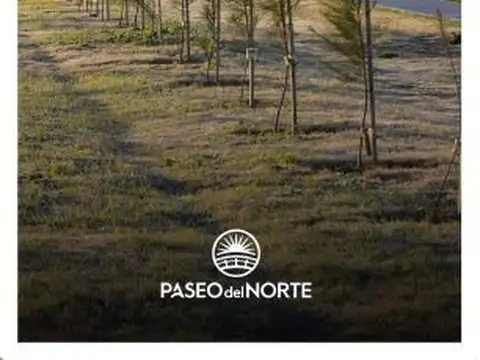 candelaria y aldo e. tessio