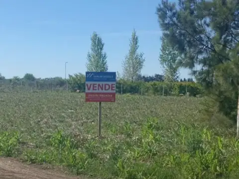 Los Ceibos