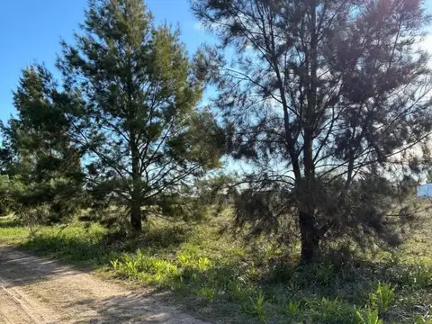 Terreno en Venta 44  mts Frente