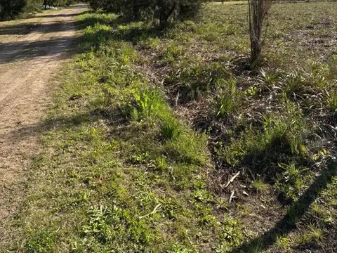 Lote de 2006m²  - Cucullu Buenos Aires