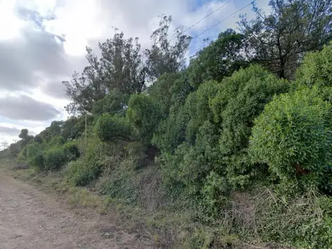 Terreno en venta - 16.778mts2 - Sierra de los Padres